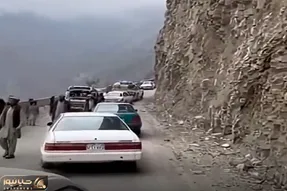 معماری طبیعت؛ منم انتظار نداشتم تو یه روز زیبای بهاری اینا پخ پخ شن چه برسه به خودشون