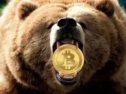 خرس ها در تلاش  گرفتن تاج پادشاهی بیت کوین؟