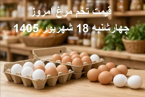 قیمت تخم مرغ امروز 18 شهریور 1405؛ تخم مرغ شانه‌ای چند؟
