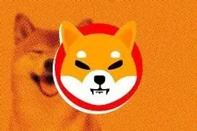 ادعای عجیب نسبت به شیبا و رقیبش!
