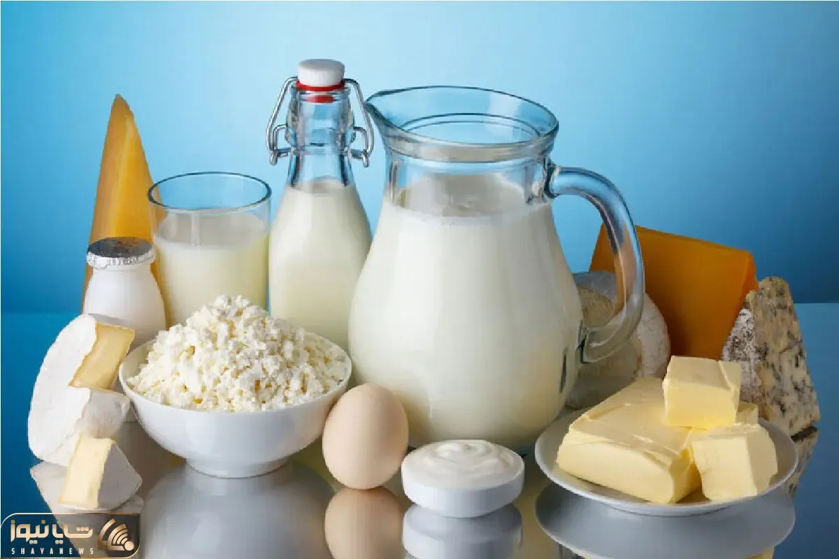 قیمت لبنیات در روزهای آینده به چه سمتی خواهد رفت؟