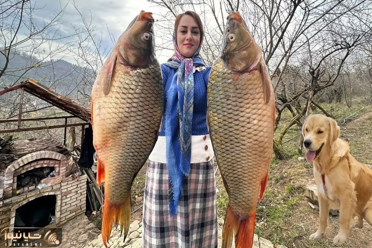 غذای خوش پخت دهاتی؛ دختر جوان روستایی اهل رشت چه ماهی کباب خلاقانه ای طبخ می کنه