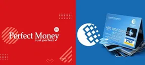 تفاوت پرفکت مانی و وب مانی