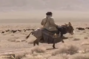 آواز جگرسوز؛ چوپان پیر فهمید پسرش شهید شده زد به بیابون و خوند از سوز صداش سینه میزنی