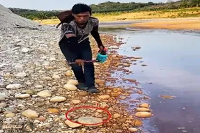معماری طبیعت؛ خدایا به این نمیخورد همچین گنجی رو شناسایی و شکار کنه