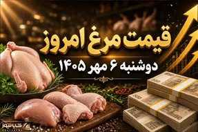 قیمت مرغ امروز دوشنبه 6 مهر 1405 / هر کیلو مرغ کامل چقدر شد؟