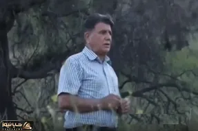 آواز ماندگار؛ استاد شجریان آهنگ دل از من برد روی از من نهان کرد و تو جنگل با حس خوند