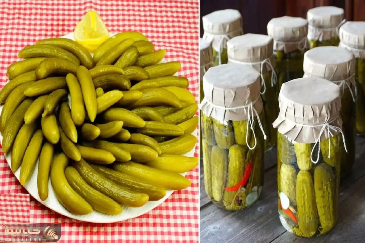 طرز تهیه خیارشور ترد و خوشمزه / یه روش عالی برای اینکه خیارشور خِرچ خِرچی درست کنی