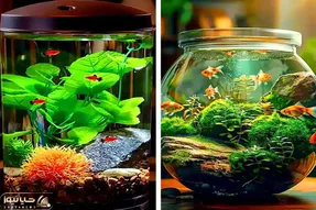 مینی آکواریوم رومیزی / واسه اینکه جوجو ماهی هارو داشته باشی ازینا بگیر خیلی دلبرن