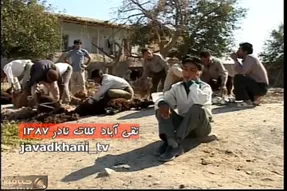 آواز محلی؛ پسرک چه آهنگ سوز داری میخونه ماشاالله به اوج صداش فقط پشم گوسفند زدنشون