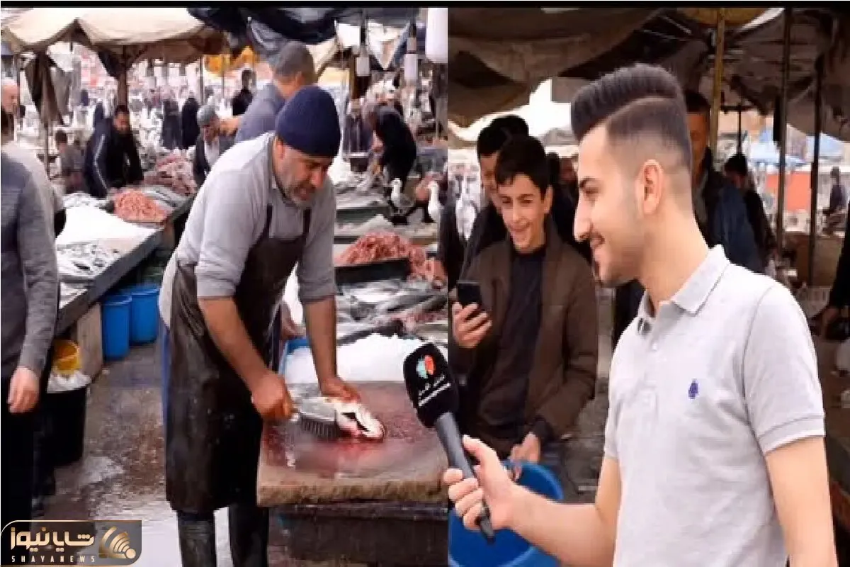 سوتی خندان؛ جواب ماهی فروش به گزارشگر جوریه که هر وقت یادش بیافتی غش میری