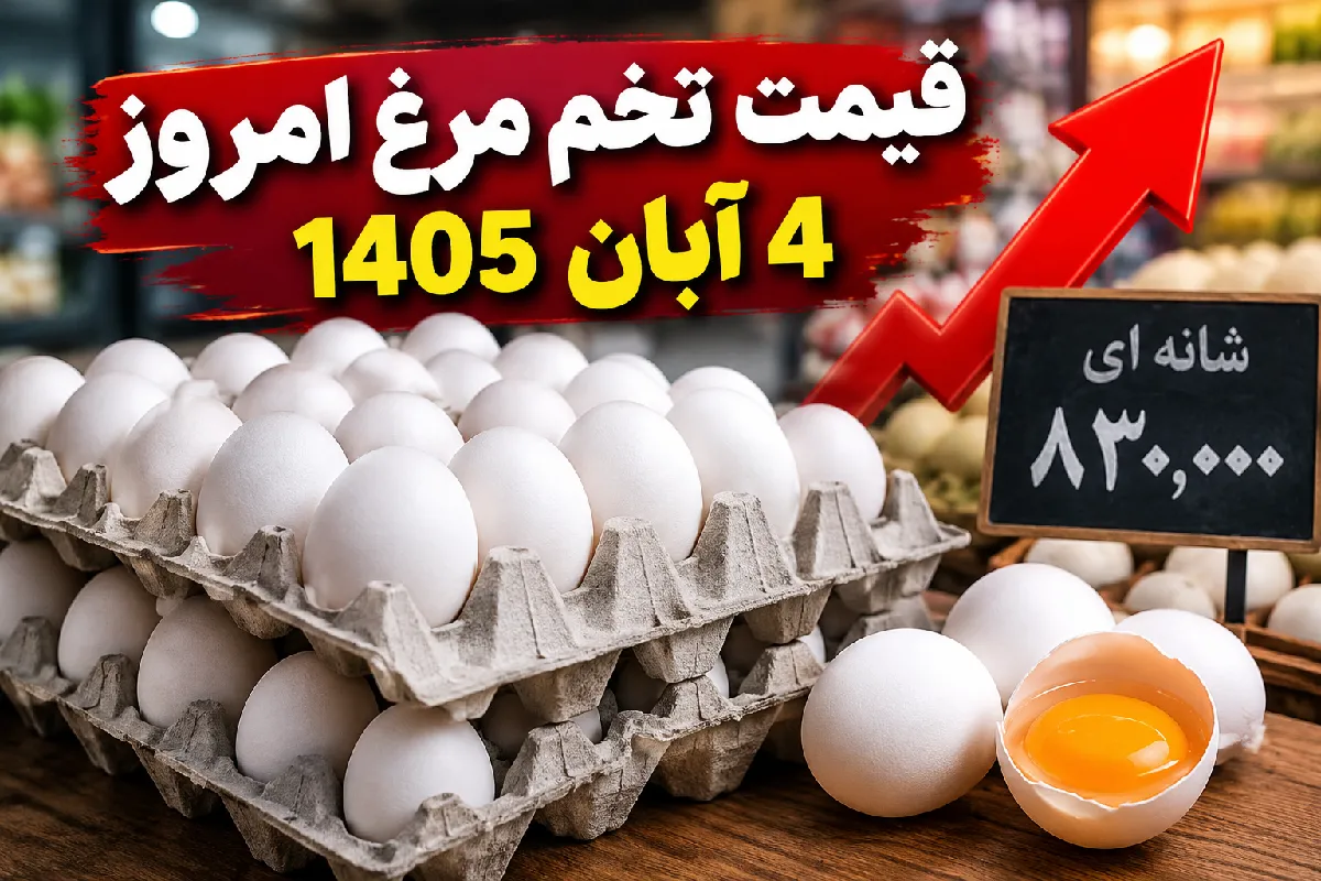 تخم مرغ