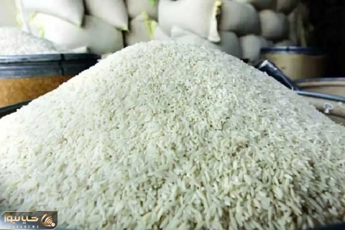 رشد 69 درصدی قیمت برنج؛ برنج 300 هزار تومانی واقعی است؟