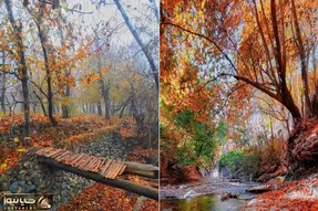 زیباترین روستاهای جاده چالوس در پاییز / تو هوای ملس اینا خش خش برگا زیر پات حال میده