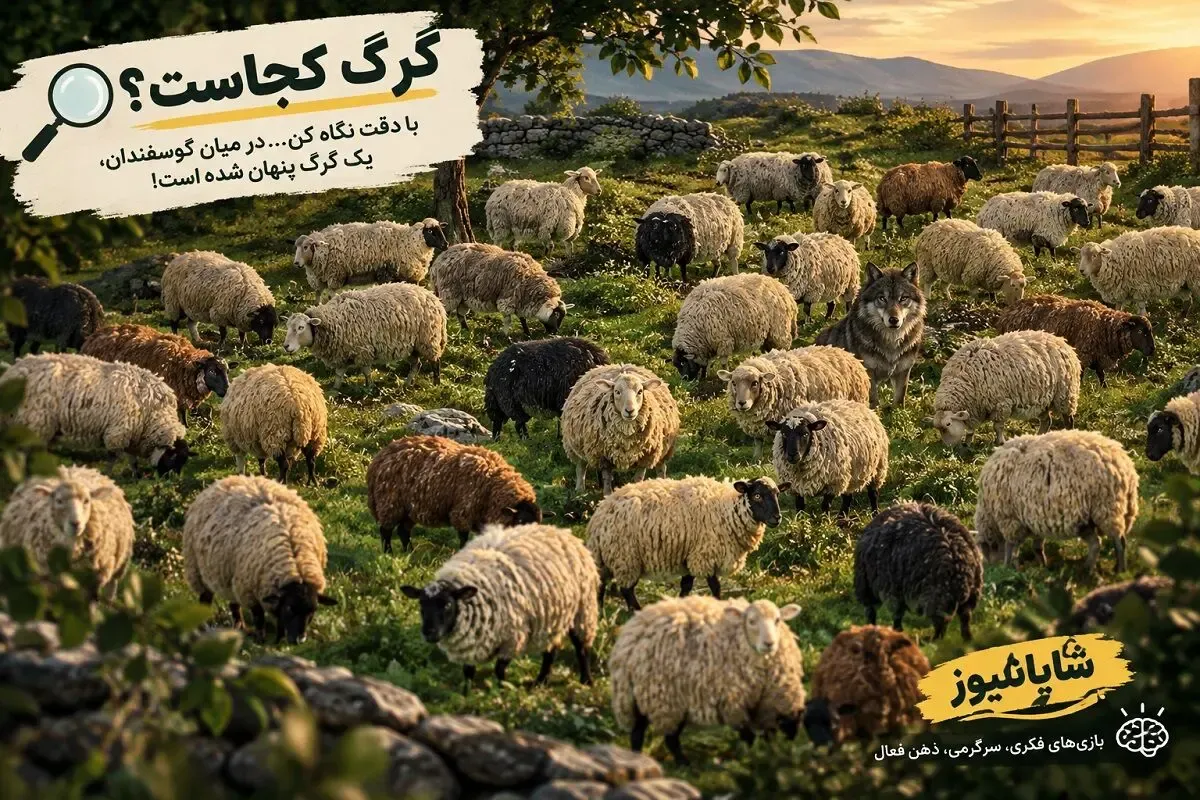 بازی فکری؛ بین گله گوسفندها گرگ را پیدا کن!