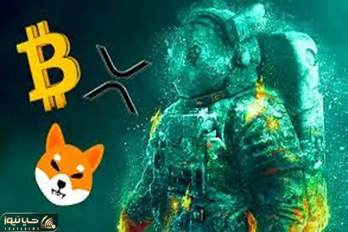 رابطه‌ای عجیب از بیت کوین وشیبااینو رونمایی شد!