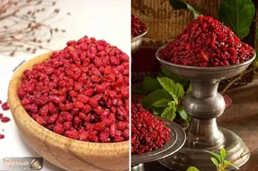 نحوه نگهداری از زرشک در خانه / نکات مهم برای جلوگیری از سیاه شدن زرشک