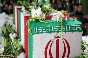 معاون فرهنگی‌اجتماعی سازمان اطلاعات فراجا به شهادت رسید