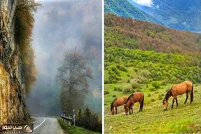 معرفی زیباترین ییلاقات رامسر / مناظری تماشایی و رویاگونه که باید حتما ببینید
