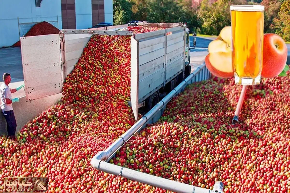 کشاورزی نوین؛ ماشینای مدرن که تو مزارع کارخونه سرخود برای چیدن و آبگیری استفاده میشه