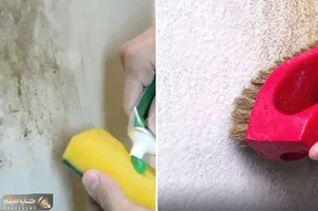 چجوری لکه رو دیوارو تمیز کنیم که دیگه رنگ نخواد؟/ نحوه شناخت نوع رنگ برای تمیزی بهتر