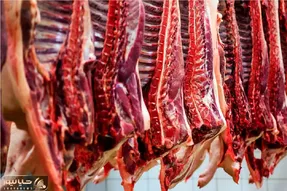 قیمت گوشت قرمز امروز ۹ اردیبهشت ۱۴۰۵ + جدول