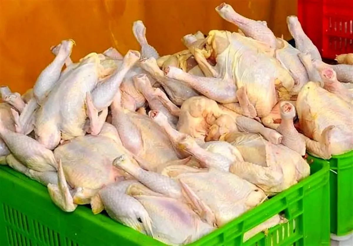 قیمت مرغ گرم امروز شنبه 25 بهمن 99 ، افزایش شدید قیمت مرغ