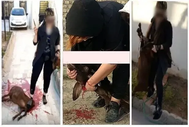 تصاویر وحشتناک از گروه خانم‌ قصاب های تهرانی!
