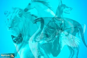 تست شخصیت شناسی تصویری؛ بگو تو تصویر چی چی میبینی تا پَته مَتَت رو بریزم رو داااریه!