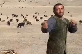 آواز شاد؛ چوپانه گله رو ول کرده وسط صحرا داره با ناز میرقصه؛ فقط نگاهای گوسفندا