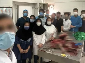 (عکس و ویدیو) ماجرای تشریح زنده زنده سگ در دانشکده دامپزشکی شوشتر
