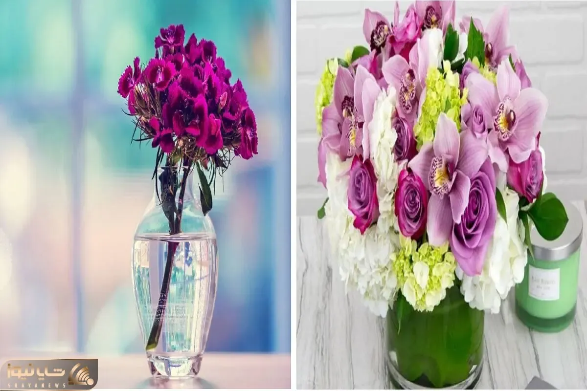 به آسونی عمر گل‌ های داخل گلدان افزایش بده/ راهکارهای طلایی برای ماندگاری بیشتر