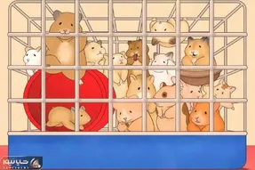 بازی فکری؛ اگه دید تک‌ تیراندازی داری خرگوش رو بین همسترها پیدا کن!