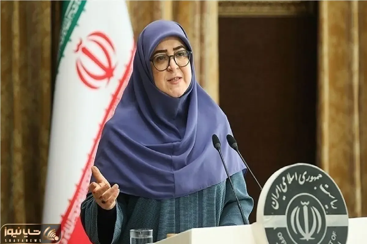 سخنگوی دولت: تلاش دولت چهاردهم برای کاهش تورم است