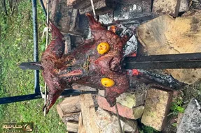 غذای محلی؛ شتر مرغ رو به سیخ میکشه پرت میکنه تو آتیش