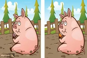 بازی فکری؛ تفاوت این خوک کثیف صورتی رو پیدا کن