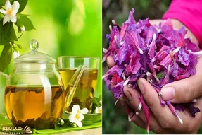 معرفی و طرز تهیه دمنوش های گیاهی آرامبخش / تجربه سبکی و آرامش با گیاهان دارویی