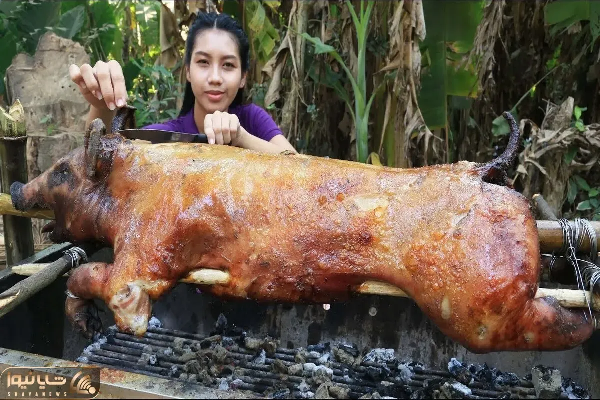 کباب خوک؛ خانومه چوب بامبو رو مثل سیخ کرد تو حلق خوک حرومیو رو آتیش برشته کردش