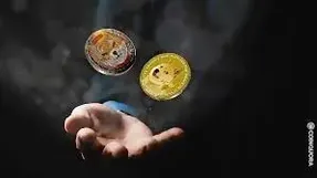 جنجال بین شیبااینو و دوج کوین!