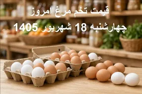 قیمت تخم مرغ امروز 18 شهریور 1405؛ تخم مرغ شانه‌ای چند؟