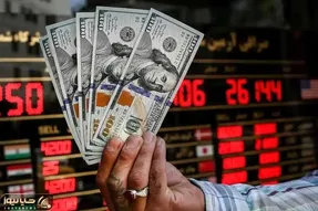 قیمت دلار امروز ۹ دی ۱۴۰۳ / دلار از تتر هم عبور کرد