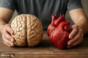 چرا عاشق می‌شویم؟ کار دل است یا هورمون‌ها؟ پاسخی علمی اما ساده و روشن