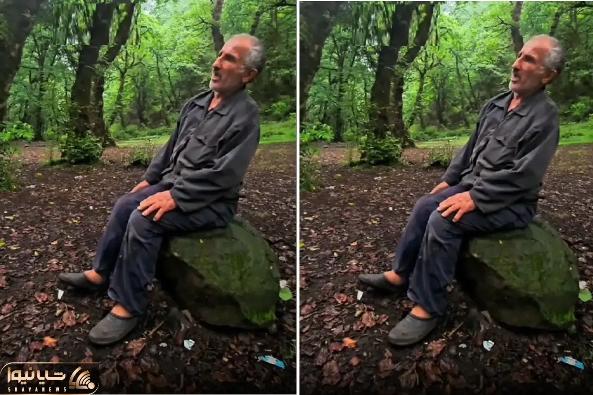 آواز محلی؛ پیرمرد تک و تنها وسط جنگل چه با غم و اندوه میخونه دلت خون میشه