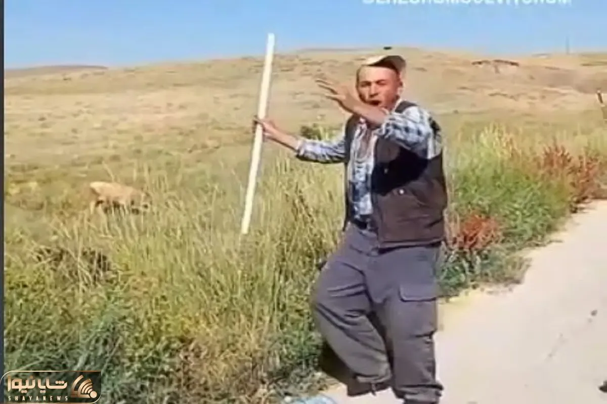 آواز محلی؛ چوپون شاد برای باز شدن  اشتهای گوسفنداش هم خوند و همزمانم پایکوبی میکنه