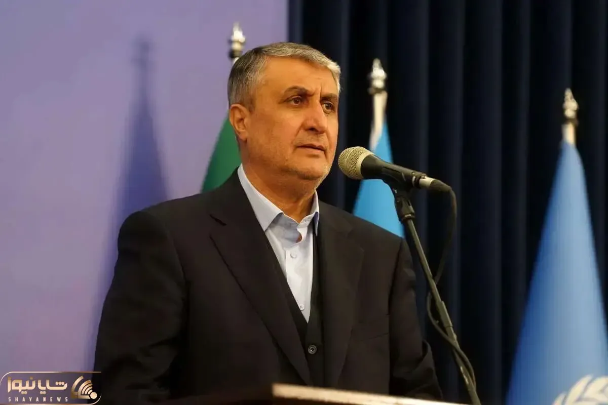 انتقاد تند رئیس سازمان انرژی اتمی از گزارش آژانس