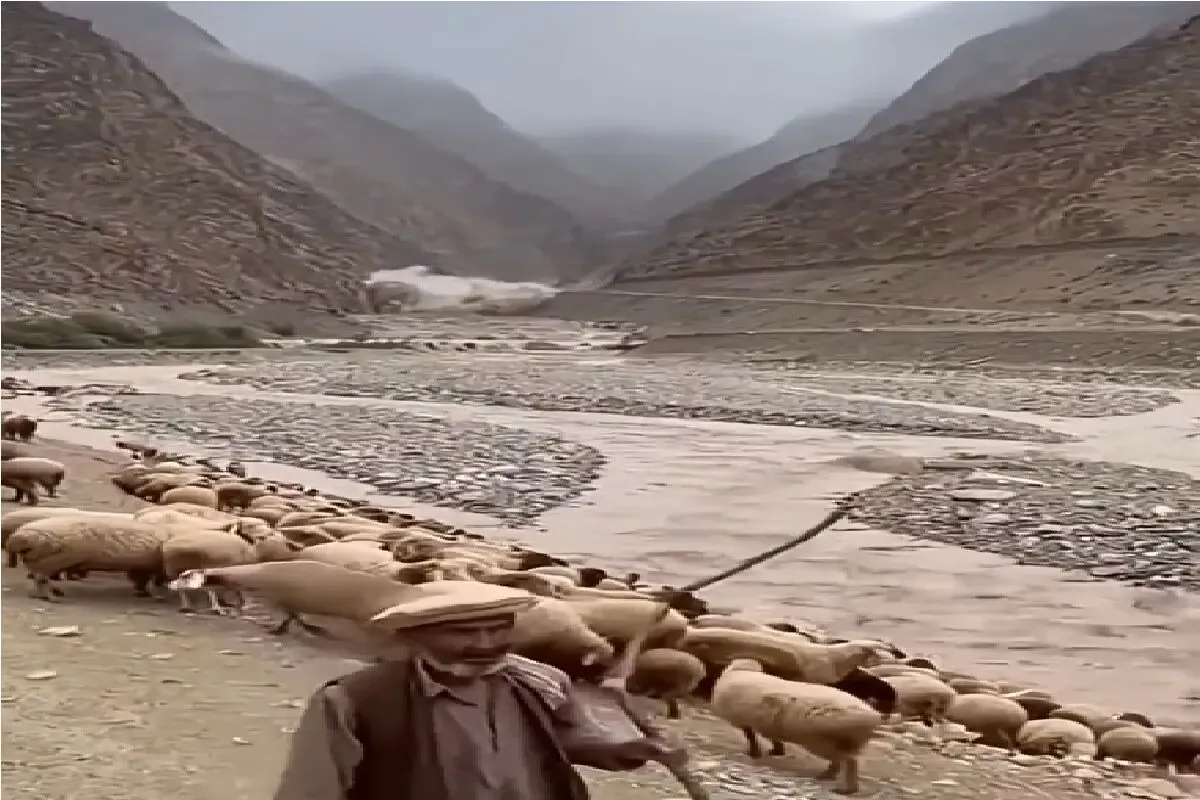 مستند کاوش؛ سیل اومد گوسفندا زودتر از چوپون فراریدن