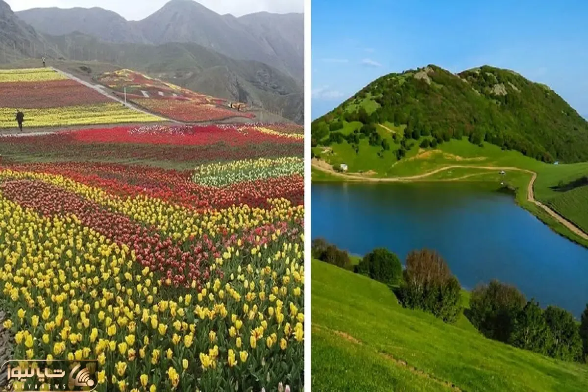 جاهای دیدنی اردبیل توی تابستون / در اوج فصل گرما طراوت و خنکی رو تجربه کن