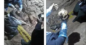 بقایای جسد پس از یکسال راز قتل هولناک را فاش کرد