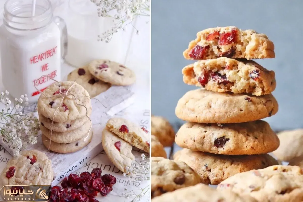 طرز تهیه کوکی کرنبری؛ یه شیرینی جذاب که ازش سیر نمیشی