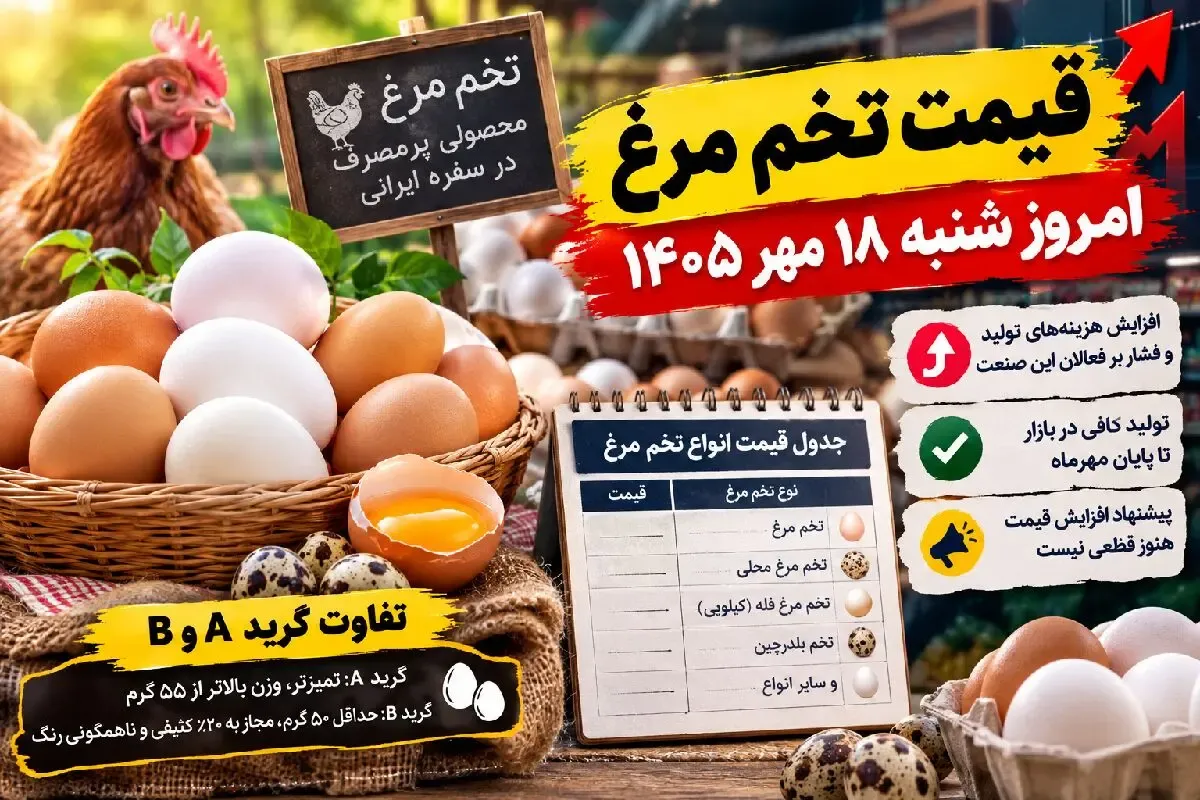 قیمت تخم مرغ امروز شنبه 18 مهر 1405 / قیمت منطقی هر عدد تخم مرغ چقدر شد؟